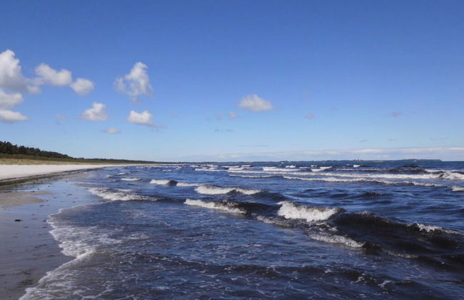 Saupe Comfortable Holiday Residence - Foto 4