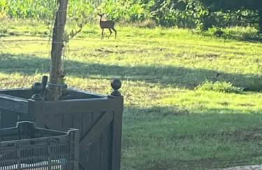 Maison familiale chaleureuse à Saint-Évarzec avec terrasse - Foto 21