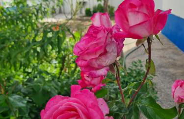 CASA DA ANONEIRA by Stay in Alentejo - Foto 20