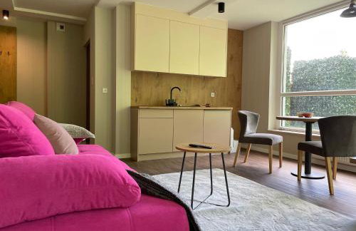 Apartament Kurort Kozubnik - Taras nad Potokiem - Foto 16