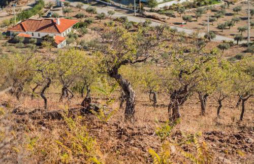 Quinta da Vela - Foto 63