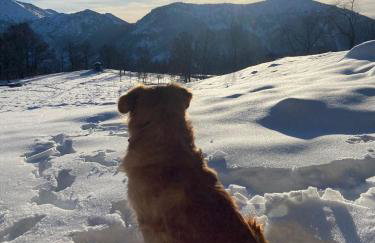 Rifugio Futopia - start here your journey to the discovering of the Alpi Graie - Foto 43