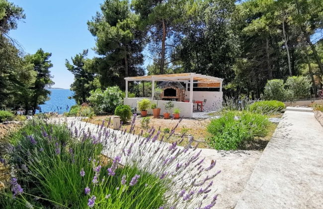 Dino - Gorgeous Garden - SA1 Zavala - Photo 32