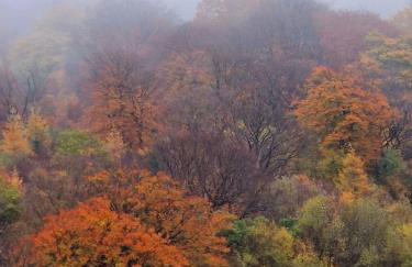 The Old Band Room House No 1 - Foto 20