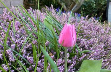 Mt. Baker View Harbor King Bed Fire Pit - Foto 54