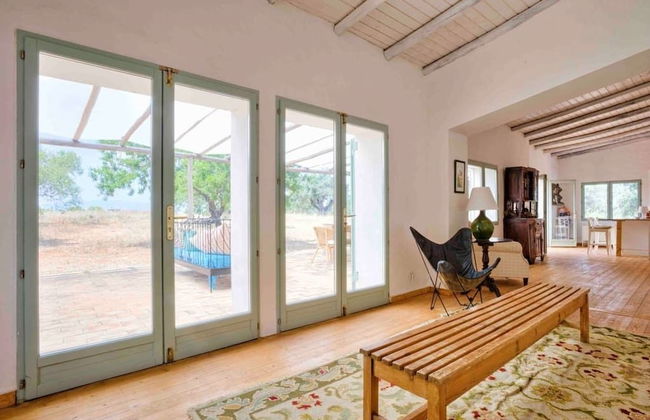 Morgado do Quintao - Foto 38