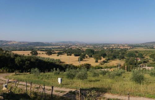 Maremma che vista! - Foto 33
