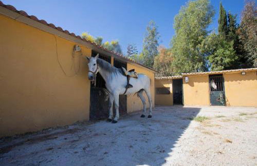 Bungalows-Cortijo Da Luigi-4 adultos-2 Dormitorios-Piscina-Ideal familias-Cártama-Málaga - Foto 42