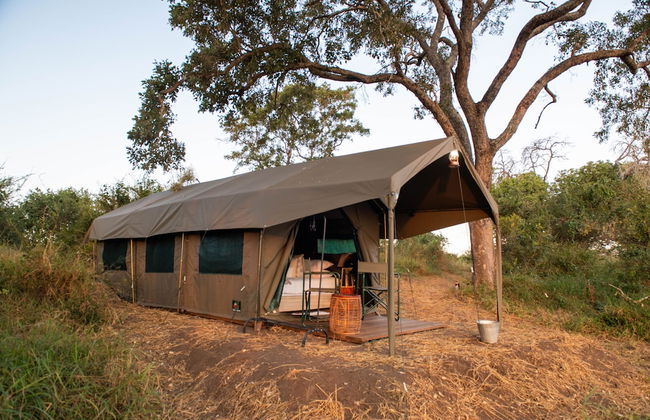 Kruger Untamed - Tshokwane River Camp - Photo 7