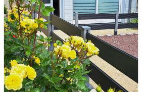 Ty Colibri Lannion - Foto 21