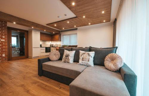 Domki Szmaragd z BASENEM - Zniżki na Termy - Sauna - Bilard - Stoki Narciarskie - Foto 59