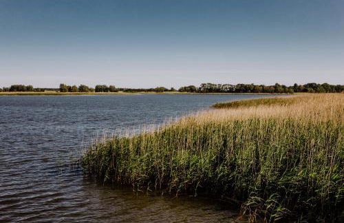 PORT PUDDEMIN Wohnungen an der Marina - Foto 2