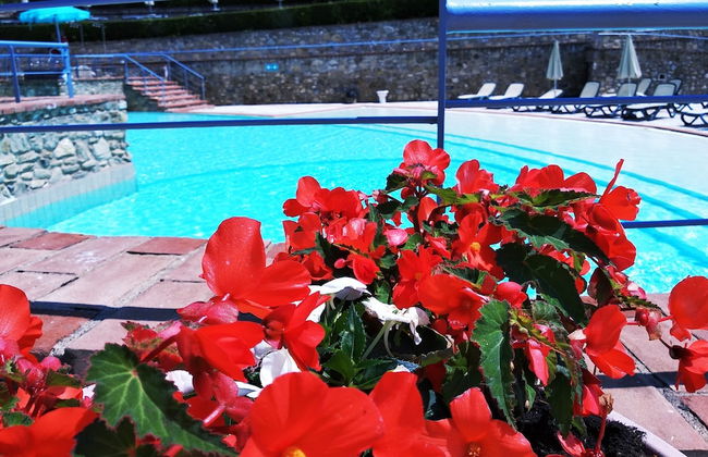 Mulino di Quercegrossa - Photo 48