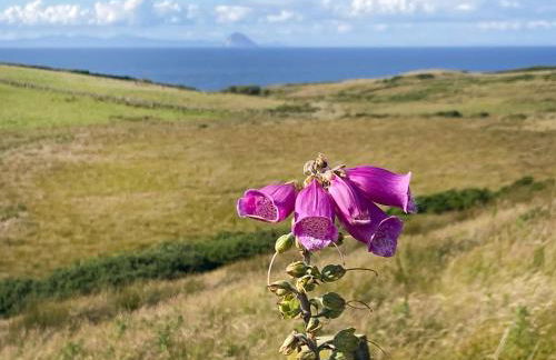 Seascape Barn - Foto 26