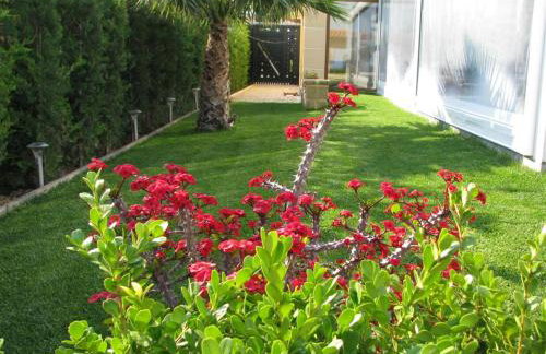 Stone Guesthouse - Foto 20