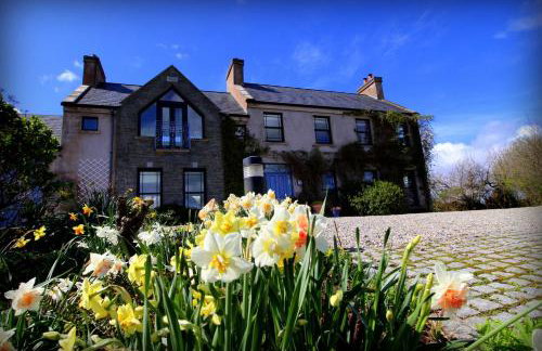 Clonaslee House - Foto 22