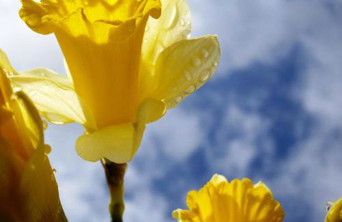 ZEIT für DICH - Foto 47