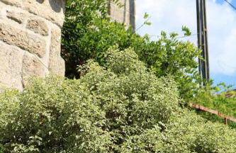 Casa da Eira - Foto 42