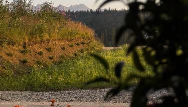 Cicho Tu - Foto 5, Garden view