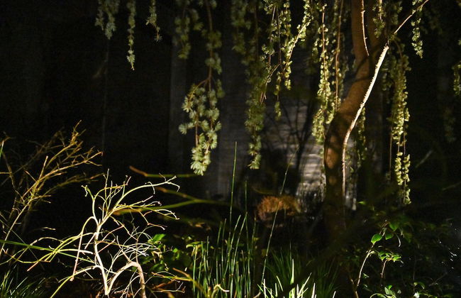 nol kyoto sanjo - Foto 43