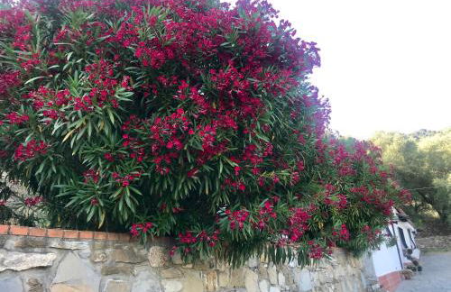 Casa Mediterraneo - Foto 34