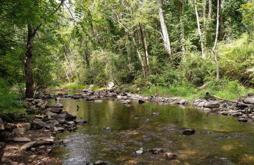 Berkshire Vacation Rentals 1900s Factory Turned Modern Berkshires Retreat - Foto 47