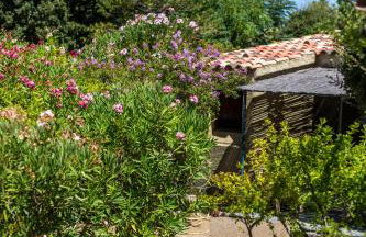 Résidence les Arbousiers - Foto 17