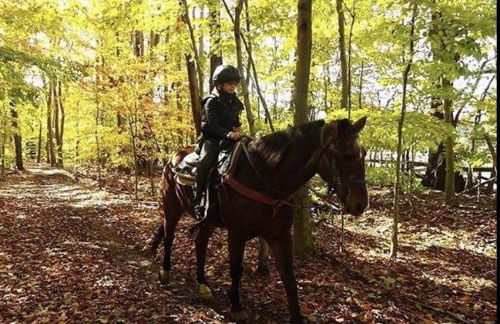 Pocono cabin with hot tub and private pool at Shawnee Mtn - Foto 93