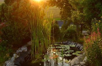 Ferienhof Kürschner - Foto 15