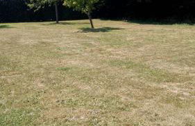 Maison Normande - Le Mesnil en Ouche - Foto 22