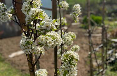 Chez Lio & Jess - Foto 19