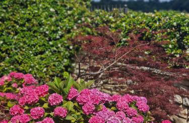 Villa Annabelle - Photo 15