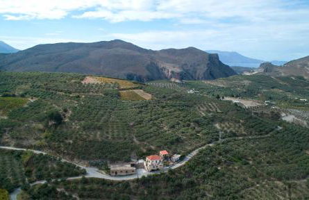 Olive Villas - Photo 11