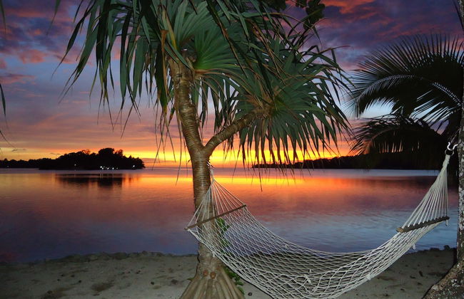 Troppo Mystique - Photo 31