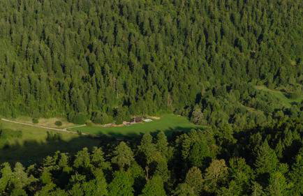 Black Cabin Lokve - Foto 7