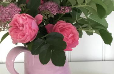 Meerlust Spiekeroog - Foto 8