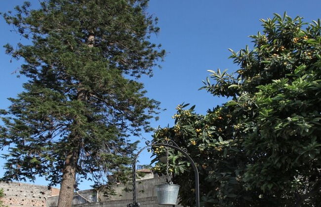 The Garden in the City Center - Photo 32