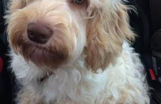 The BeeKeepers - Homely Luxurious Self Catering - Foto 71