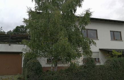 Lichtblick - Foto 21