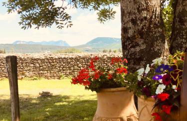 Mas de JANNE - Foto 9