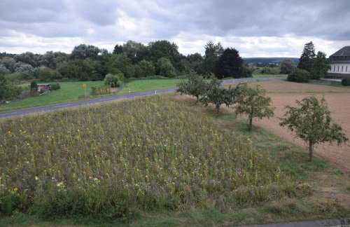 Fewo Landweg - Foto 23