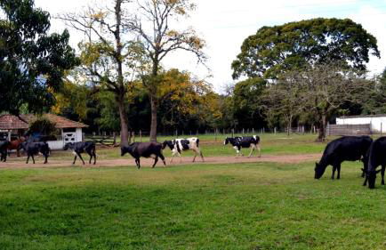 Hotel Fazenda Villa-Forte - Photo 44