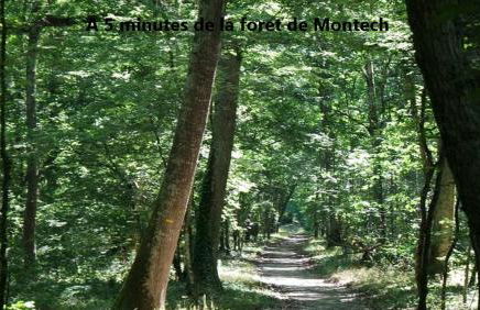 L Ostalet Tarn et Garonne - Foto 18