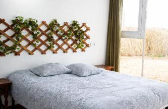 El Pinsapo - Foto 11