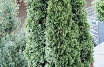 Ferienhaus Zentral, nahe Legoland und Stadtmitte, Flussblick - Perfekt für Familien, Geschäftstreffen, Monteure und mehr! - Foto 61