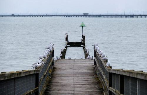 Entire 1bed Studio With Ensuite, Balcony & Parking - Foto 24