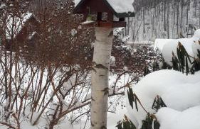 Dom w Górach Sowich Niedźwiedzia Gawra, Michałkowa - Foto 68