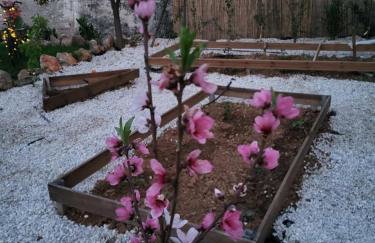 Villa Anasa Residence - Foto 34