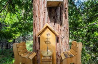 Anderson's Alpine Retreat- Pinecrest, CA Dodge Ski - Foto 30