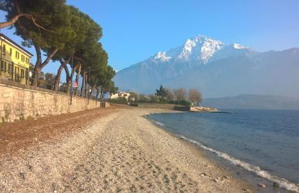 LITTLE FLOWER - Foto 57